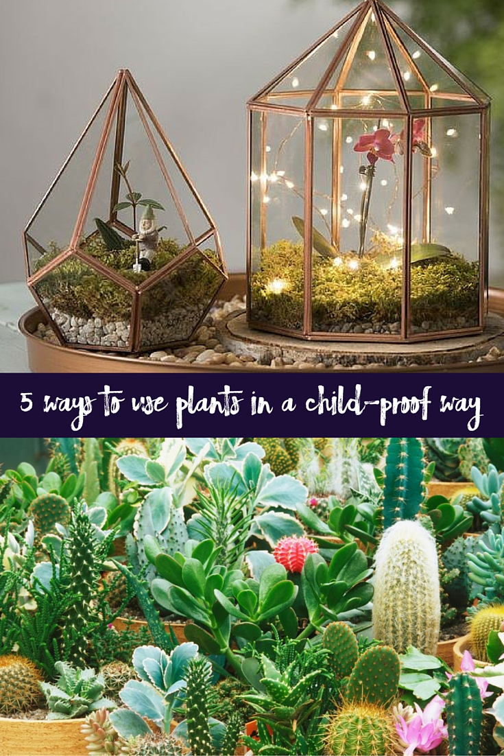 child-proof way of using plants