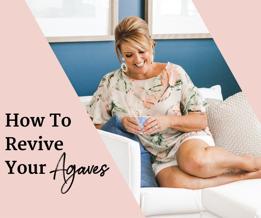 How To Revive Your Agaves