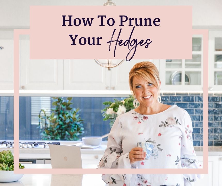 How To Prune Your Hedges - renovation course