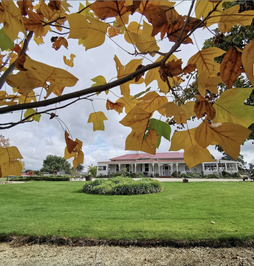 Cressy Estate  - Autumn