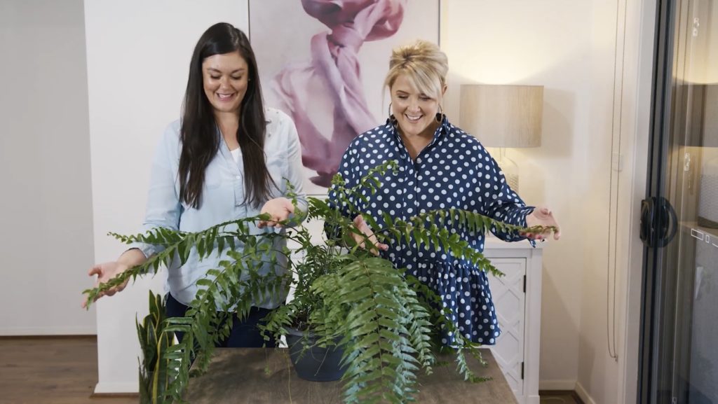 Everything you need to know about Macho Ferns with Naomi Findlay