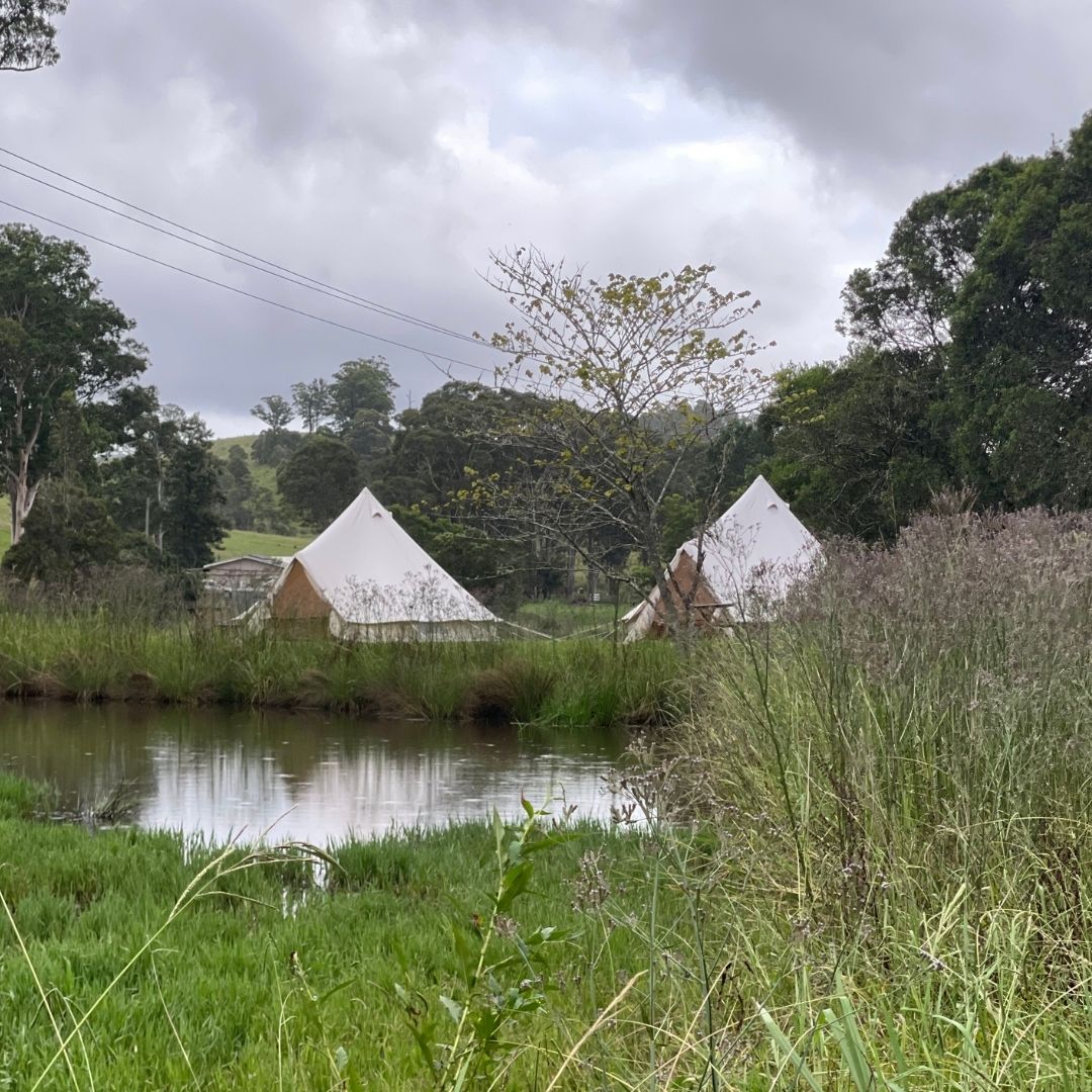 Glampinn tents