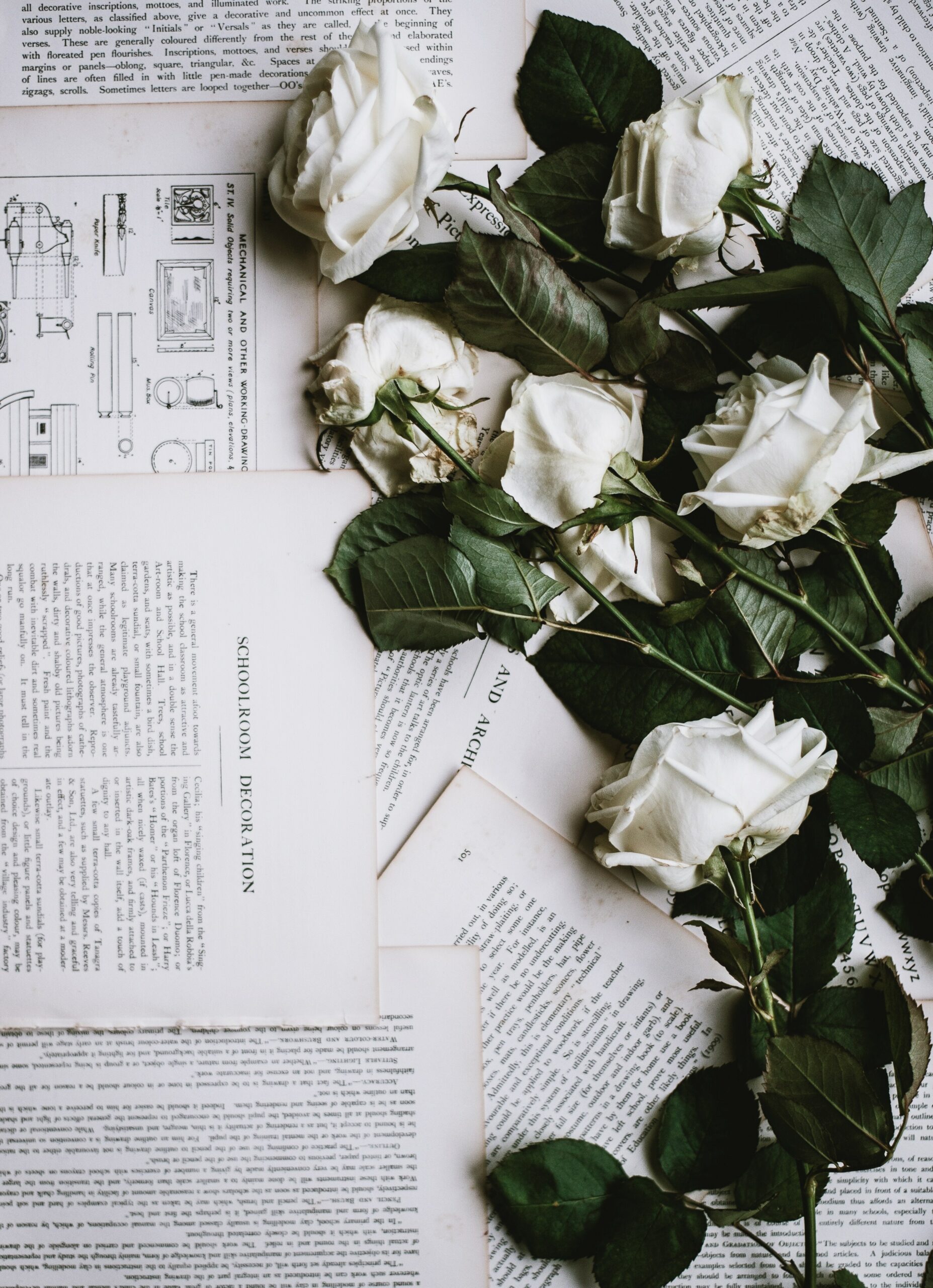 annie-spratt-cweM5Ew79bY-unsplash