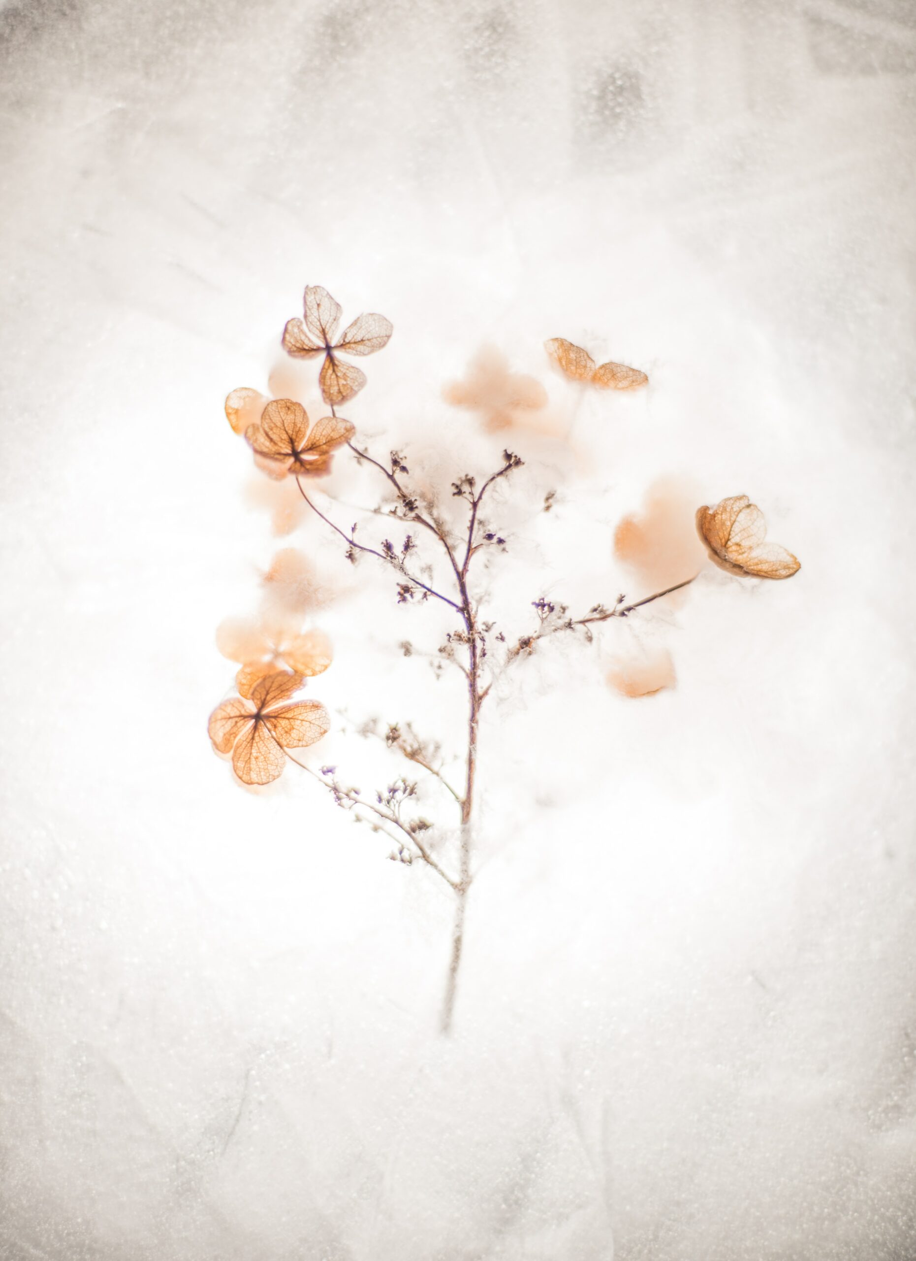 evie-s-IPVdy-P8m_Q-unsplash