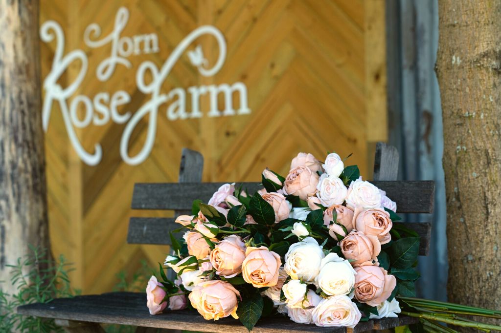 Lorn Rose Farm shop cafe - after 15