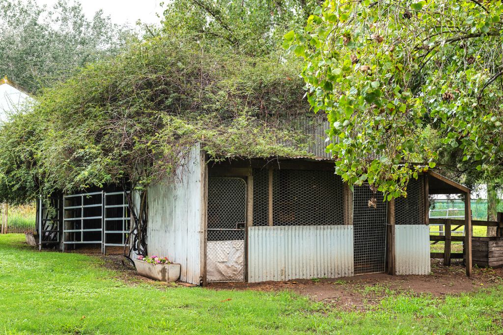 Lorn Rose Farm Stables 2